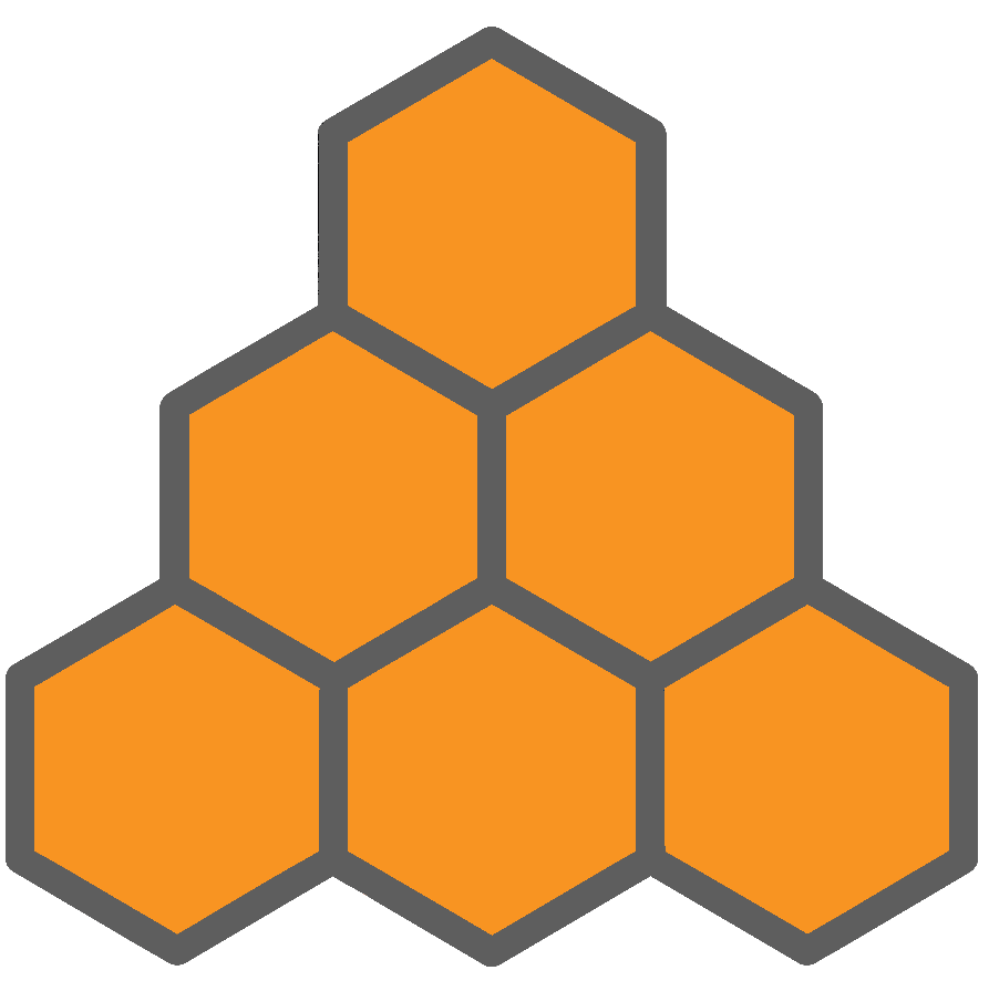 Positive Value Leadership&trade; icon